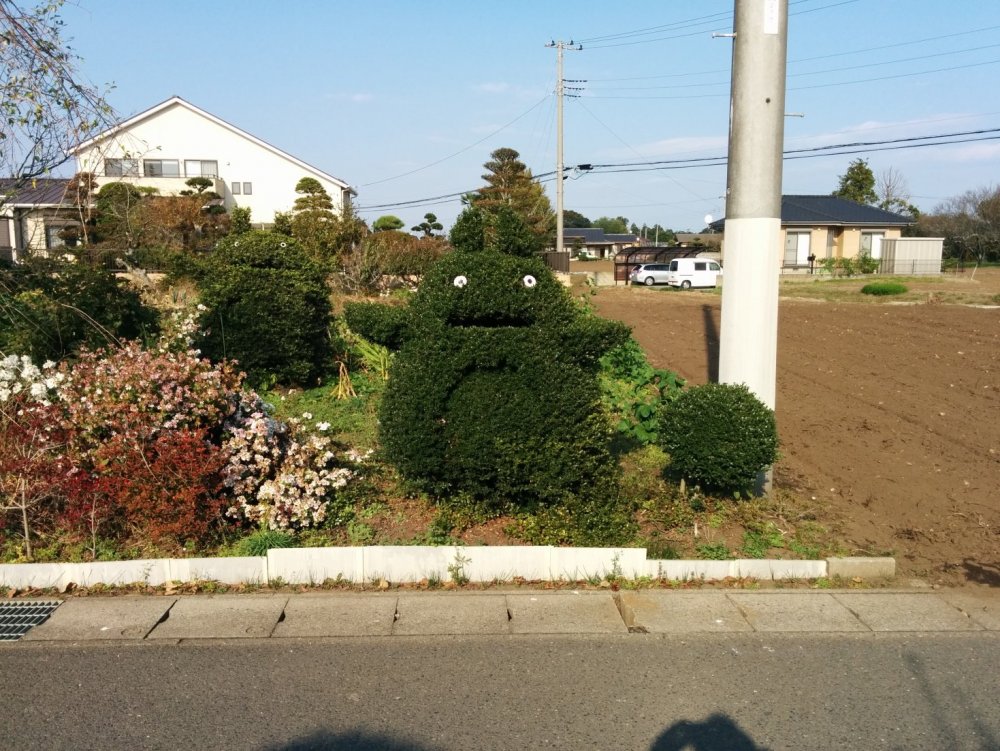 IMG_20141107_133231.thumb.jpg.40bf4af86feedf123d97b637f4896274.jpg