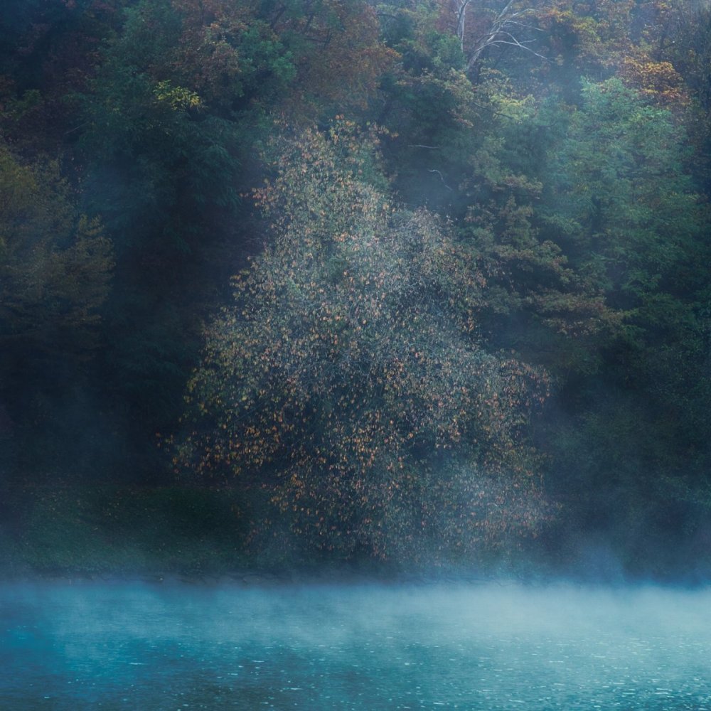 Drava.jpg
