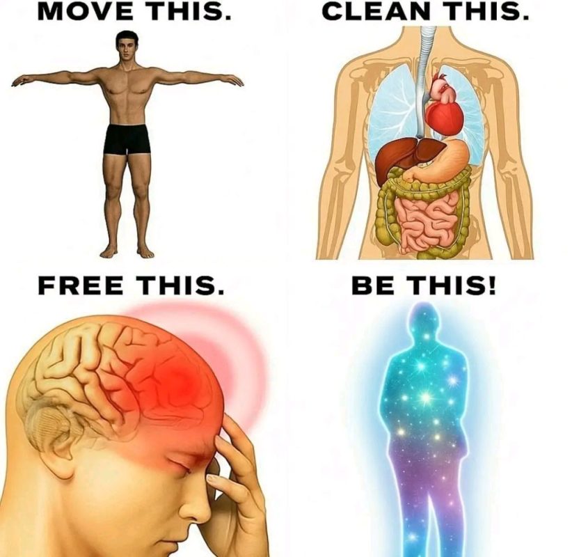1762986847493.jpg